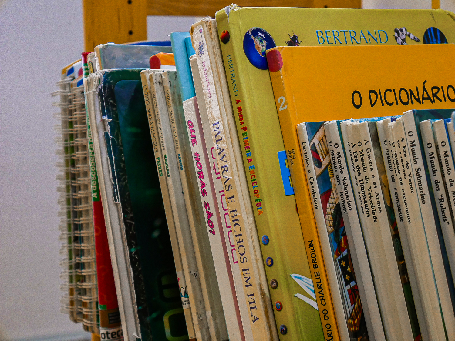 Escola Básica dos Leões